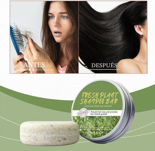 Champú de romero, jabón para el crecimiento del cabello.